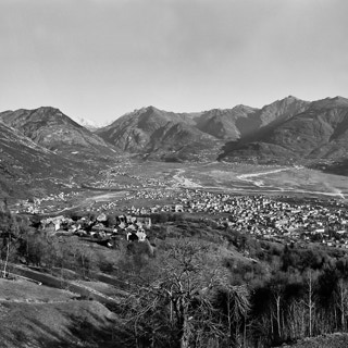 Foto dell'archivio fotografico