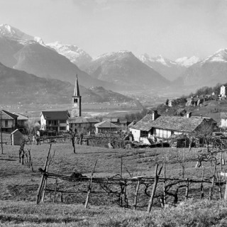Foto dell'archivio fotografico