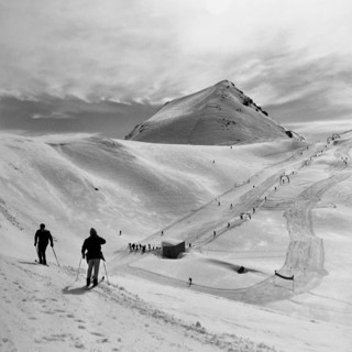 Foto dell'archivio fotografico